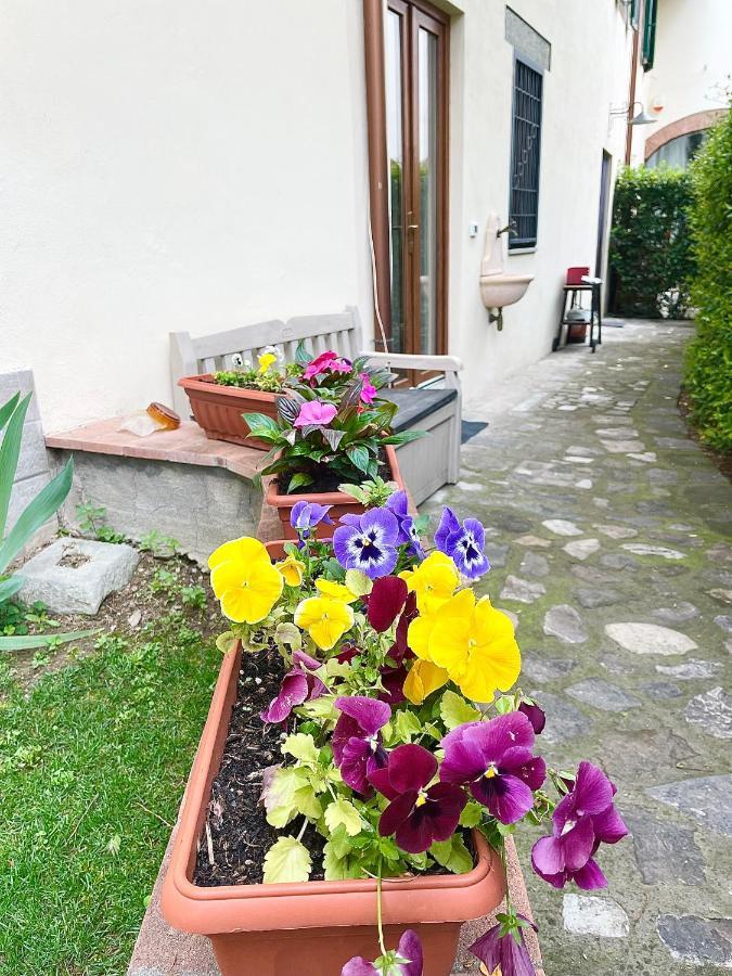Dalu Florence Apartment Davide - Private Car Park 15 Minutes To The City Center Buitenkant foto