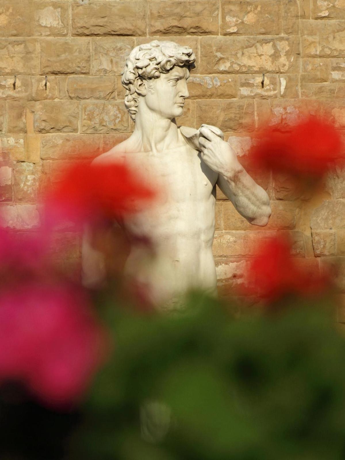 Dalu Florence Apartment Davide - Private Car Park 15 Minutes To The City Center Buitenkant foto