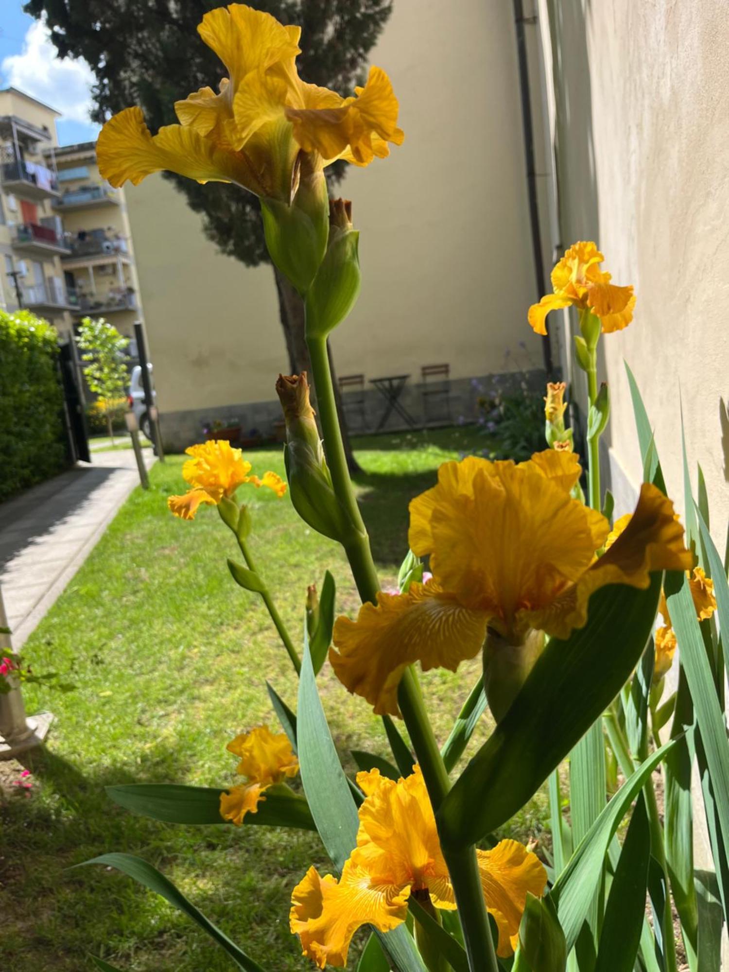Dalu Florence Apartment Davide - Private Car Park 15 Minutes To The City Center Buitenkant foto